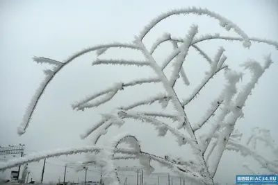 Теперь и зима: Волгоград оказался под белым покрывалом | 14.12.2022 |  Волгоград - БезФормата