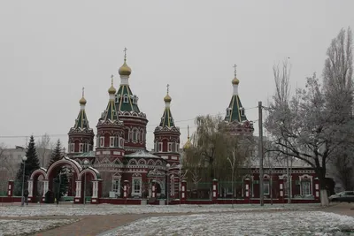 Файл:Туи на Пугачёвской зимой, Волгоград.jpg — Википедия