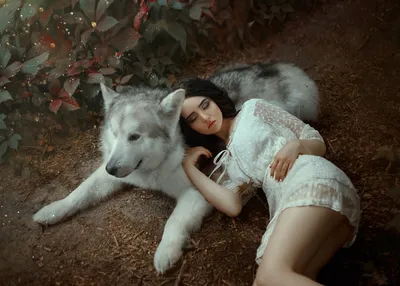 Фото Девушка спит рядом с белым волком