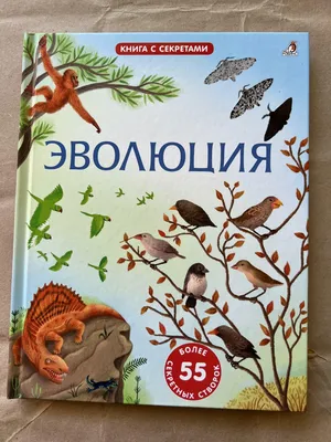 Волшебные сказки. Свыше 190 иллюстраций Ивана Билибина - купить по выгодной  цене | Издательство «СЗКЭО»