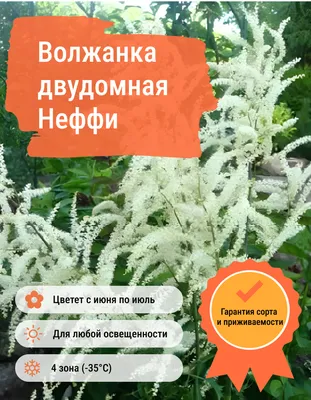 Негазировнная вода Волжанка - рейтинг 5 по отзывам экспертов ☑ Экспертиза  состава и производителя | Роскачество