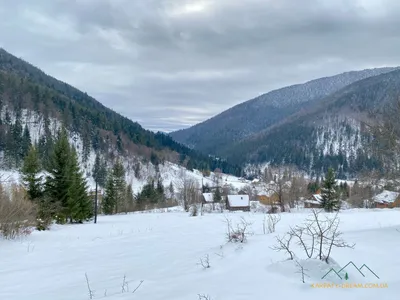 Ворохта: спортбаза Авангард, лыжная трасса Ворохта.