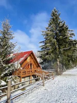 GUEST HOUSE М ВОРОХТА