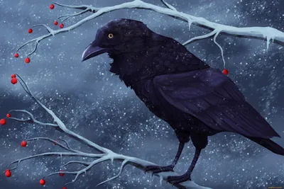 Серая ворона сидит в снегу. Птицы в диком зимой Стоковое Фото - изображение  насчитывающей одичало, черный: 214479094
