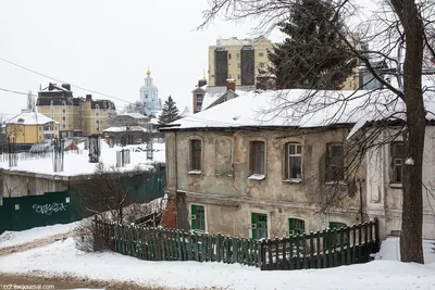 В Новый год на площади Ленина в Воронеже установят новую 19-метровую елку -  KP.RU