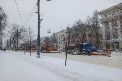 Зима вернётся в Воронеж 27 марта — В Воронеже — Культура ВРН