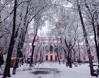 Город Воронеж: климат, экология, районы, экономика, криминал и  достопримечательности | Не сидится