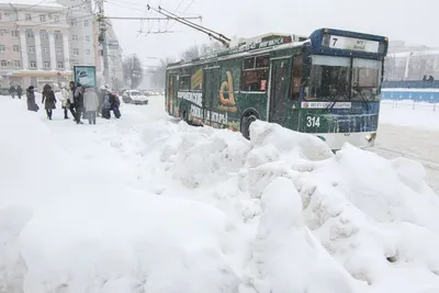 Курс на зиму: что делать в Воронеже