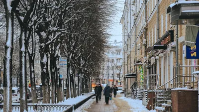 В воронежском парке «Дельфин» появились огромные светящиеся шары – Новости  Воронежа и Воронежской области – Вести Воронеж