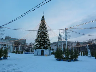 Парк Динамо зимой.