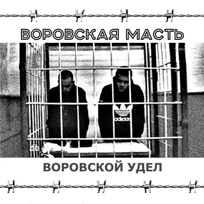 Вячеслав Дацик о том, почему Александр Емельяненко забил свои воровские  звёзды - Karate.ru | Новости
