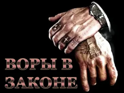Молодой вор в законе | Пикабу