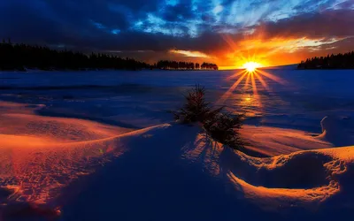 Восход солнца зимой фото фотографии