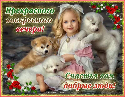 Воскресный вечер в Музыкальном театре :: Петрозаводский государственный  университет