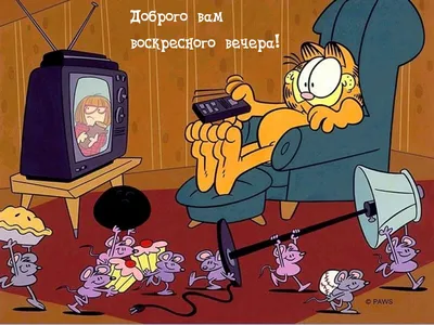 Приднестровский Театр драмы и комедии им. Аронецкой - 🎭 \"Воскресный вечер\"  🎭 9 декабря в 17:00 на большой сцене театра Премьерный спектакль \"Свидание  с жизнью\" Постановка по пьесе Ольга Салова-Чекан написана на