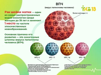 Как в Казахстане «провалилась» вакцина от ВПЧ - Аналитический  интернет-журнал Власть