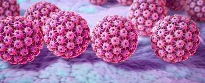Вирус папилломы человека (ВПЧ): причины, симптомы и лечение в ФНКЦ ФМБА