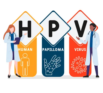 Вирус папилломы человека: что значит ВПЧ, типы HPV у мужчин и женщин |  Аллокин-Альфа
