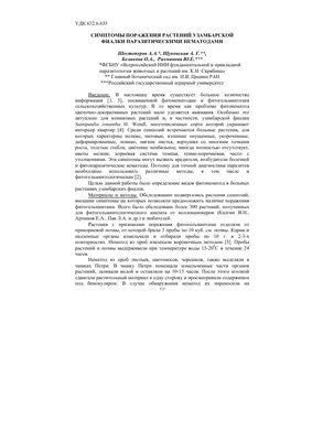 Как эффективно избавиться от вредителей на малине: выбираем — \"химия\" или  биопрепараты