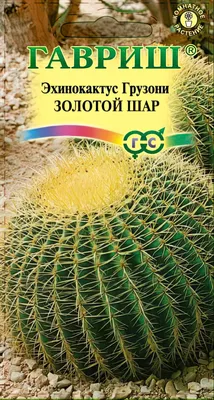 Вредители комнатных растений: названия, защита и эффективные методы борьбы