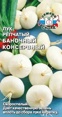 Недостаток предложения качественного репчатого лука провоцирует рост цен на  украинском рынке • EastFruit