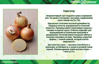 Свердловский Россельхознадзор нашел в луке из Чувашии хищных клещей