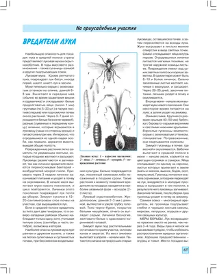 Вредители лука – тема научной статьи по сельскому хозяйству, лесному  хозяйству, рыбному хозяйству читайте бесплатно текст  научно-исследовательской работы в электронной библиотеке КиберЛенинка
