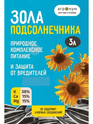 Урожайность подсолнуха в Украине и мире | Блог Агроленд