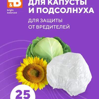 Подсолнечник | Все про сельскохозяйственную культуру | «Сингента» в России