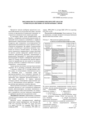 В Украине посевы подсолнечника атакуют вредители и болезни