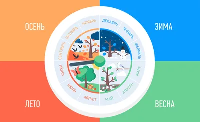 Наглядно-оформительский плакат. Времена года: Формат А2 – купить по цене:  85,50 руб. в интернет-магазине УчМаг