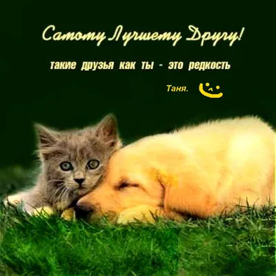 📎09▫🌻 Доброе утро! И пусть всё будет ХОРОШО у нас, у всех! | Доброе утро,  Смешные открытки, Мотивационные подарки