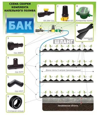 Система капельного полива своими руками | Главснаб | Дзен