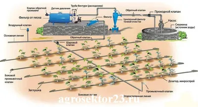 Капельный полив - готовые комплекты для организации полива грядок
