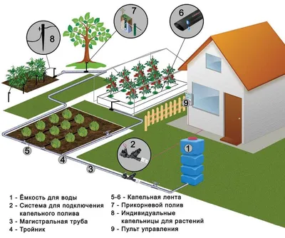 Схема посадок при капельном поливе на даче.
