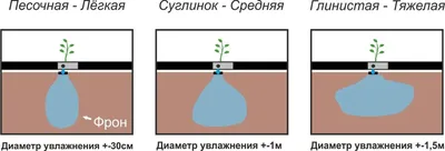 9 аргументов в пользу использования капельного полива | AgroMarket интернет  магазин семян