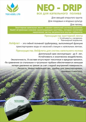 Система автоматического капельного полива установка под ключ, низкие цены  на работы по монтажу автополива в Минске и Беларуси - Умный полив