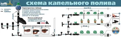 9 аргументов в пользу использования капельного полива | AgroMarket интернет  магазин семян