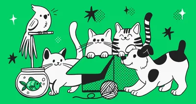Картинки кошек: скачайте изображения в хорошем качестве бесплатно