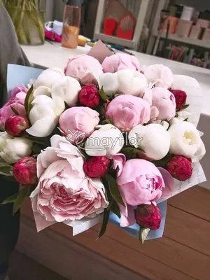 Купить Букет с пионами и кустовой розой Expression в Краснодаре