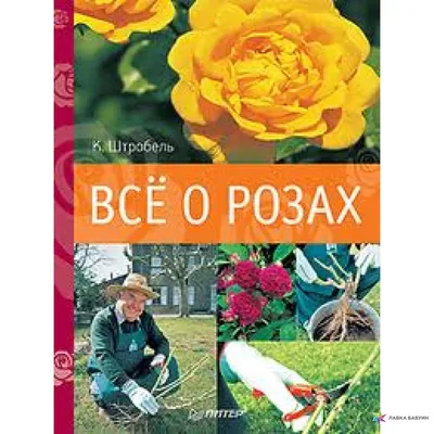 Книга \"Все о розах\" Воронцов В В, Коробов Виктор Иосифович - купить книгу в  интернет-магазине «Москва» ISBN: 978-5-93457-387-5, 606881