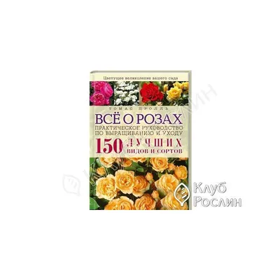 Роза. Все о розах для детей. Воспитателям детских садов, школьным учителям  и педагогам - Маам.ру