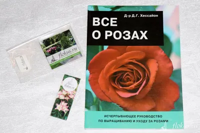 Всё поле в цветах в розах в …» — создано в Шедевруме