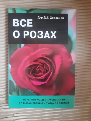 Интересные факты о розах. Что означают розы? Где купить розы в Москве