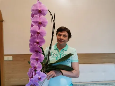 Купить Растение Орхидея Микро Фаленопсис / Geo Glass с доставкой / Geo Glass