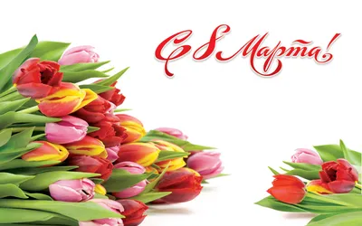 Поздравляем всех с праздником весны — 8 марта!