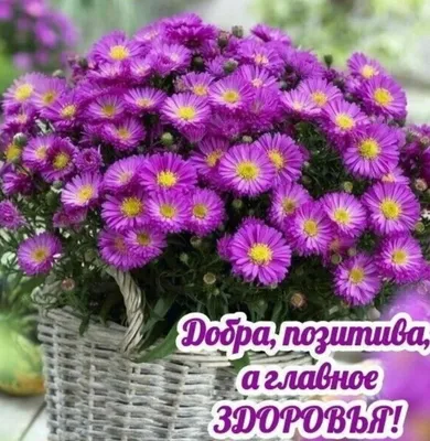 Здоровья , добра и позитива ... | Plants, Romantic table, Garden