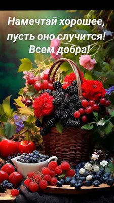 Посылаю вам лучи добра,злыдни)))) Всем добра и бобра) | Пикабу