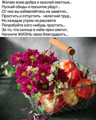 С Новым годом дорогие друзья! Всем добра, здоровья, благополучия! #avtoros  #avtorosshaman #авторос #авторосшаман #сделановроссии | Instagram