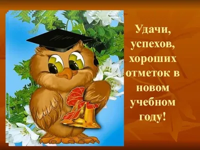 всем привет, меня зовут диоген, и я сообщаю, что публичная мастурбация  начнётся через 0 секунд / жаба :: It is Wednesday My Dudes (it's wednesday  my dudes, its wednesday my dudes, It